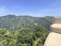 IMG_7175