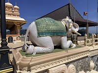 IMG_7174