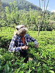 IMG_7157