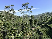 IMG_7151
