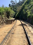 IMG_7145