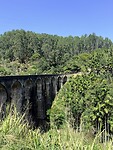 IMG_7142