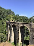 IMG_7136