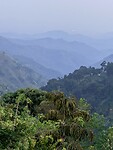 IMG_7103
