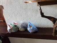 IMG_7093