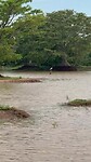 Fishing at The Lake