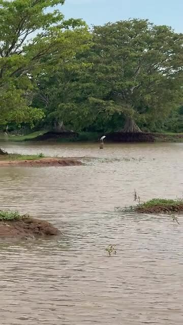 Fishing at The Lake