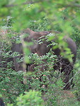 IMG_2353