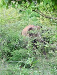 IMG_2349