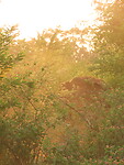 IMG_2347