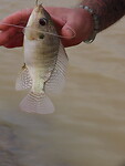 IMG_2326