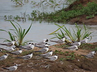IMG_2317