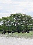 IMG_2308