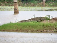 IMG_2300