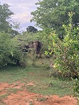 IMG_7333