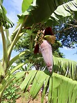 IMG_2274