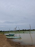 IMG_7320