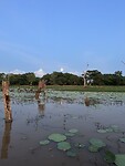IMG_9439