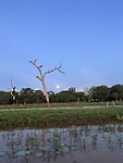 IMG_9438