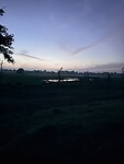 IMG_7264