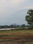 IMG_2241