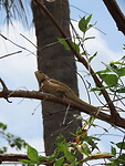 IMG_2181
