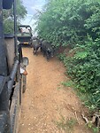 IMG_7252