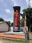 IMG_7221