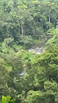 Viewpoint