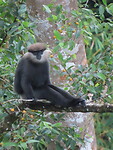 IMG_2485