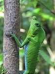 IMG_2450