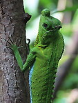 IMG_2448
