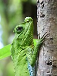IMG_2447