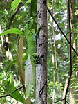 IMG_2445