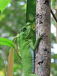 IMG_2444