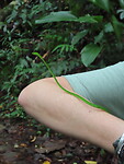 IMG_2434