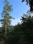 IMG_2381