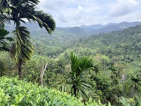 IMG_7495