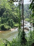 IMG_7484