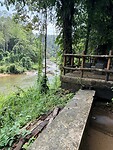 IMG_7483