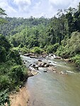 IMG_7477
