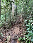 IMG_7475