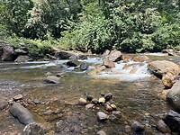 IMG_7474