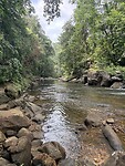 IMG_7473