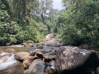 IMG_7471