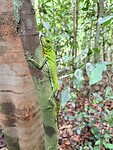 IMG_7463