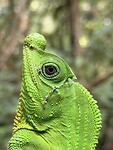 IMG_7462