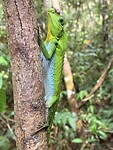 IMG_7460