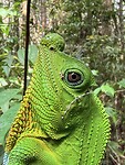 IMG_7458
