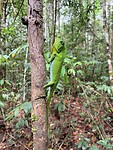 IMG_7456